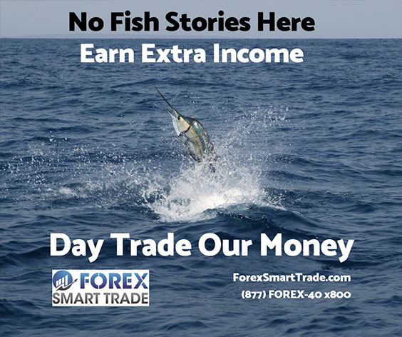Learn forex trading