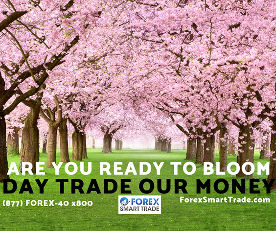 Forex trading tutorial