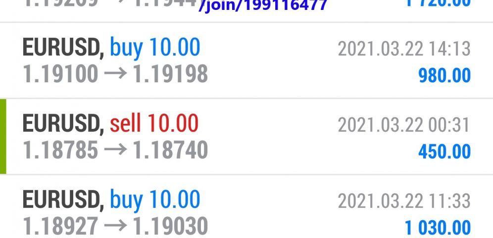 Forex trading course